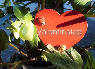 Valentinstag, Tag der Liebenden