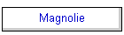 Magnolie